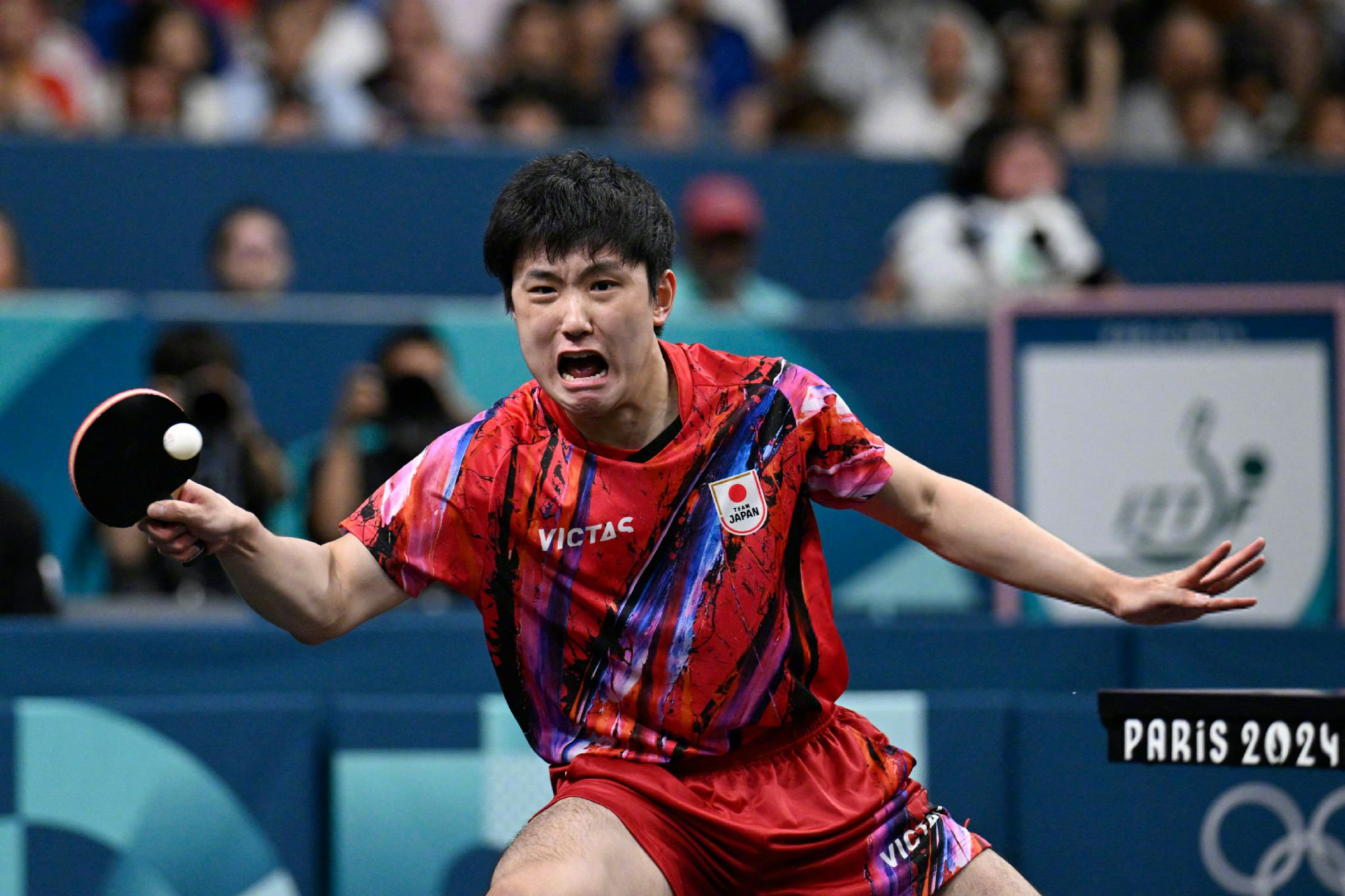 奥地利队绝杀英格兰队,张本智和高光表现 奥地利队绝杀英格兰队,张本智和高光表现