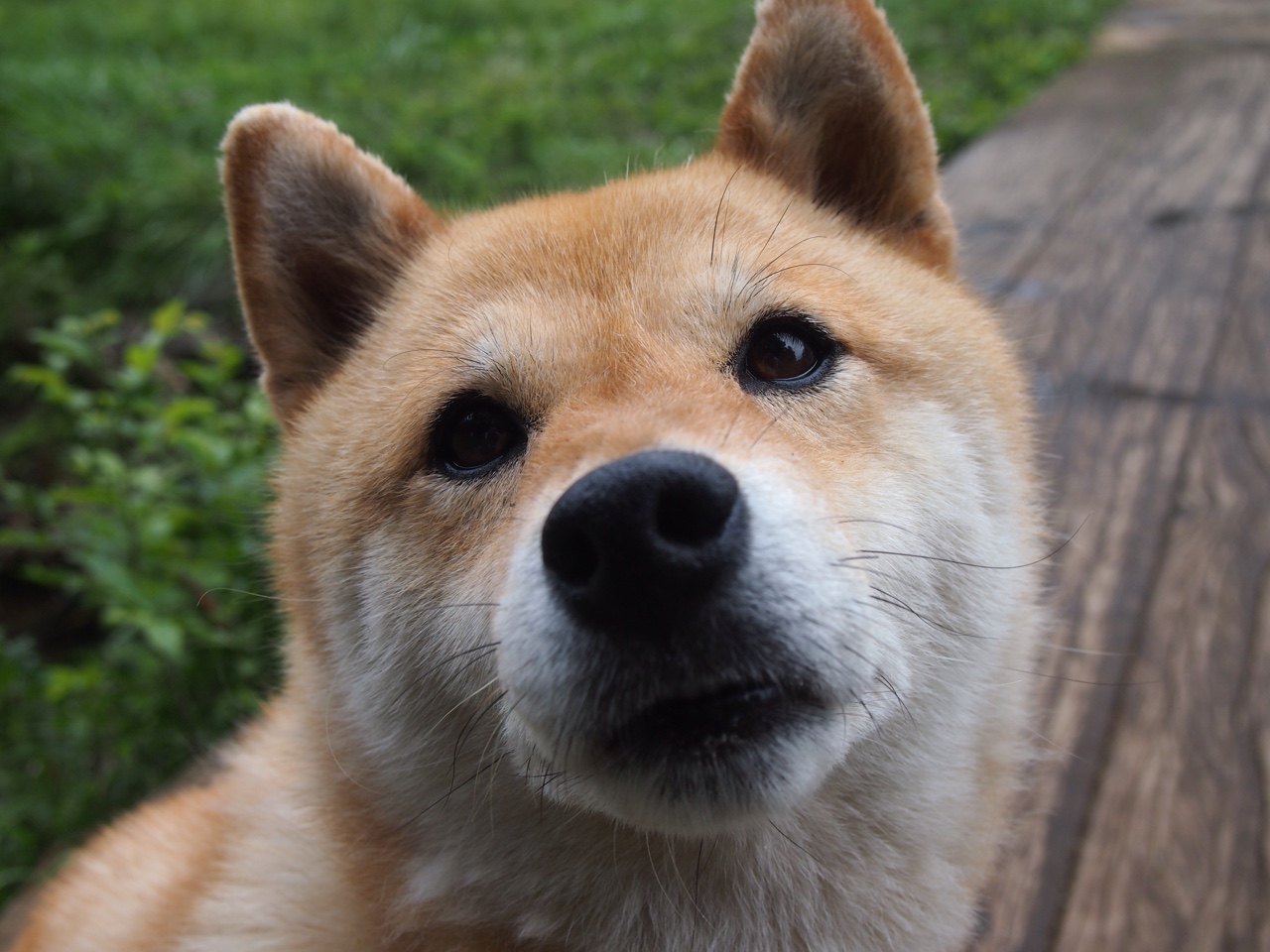 一场比赛，两种传奇，萨卡双响破尘封纪录，年度焦点之战诞生新王