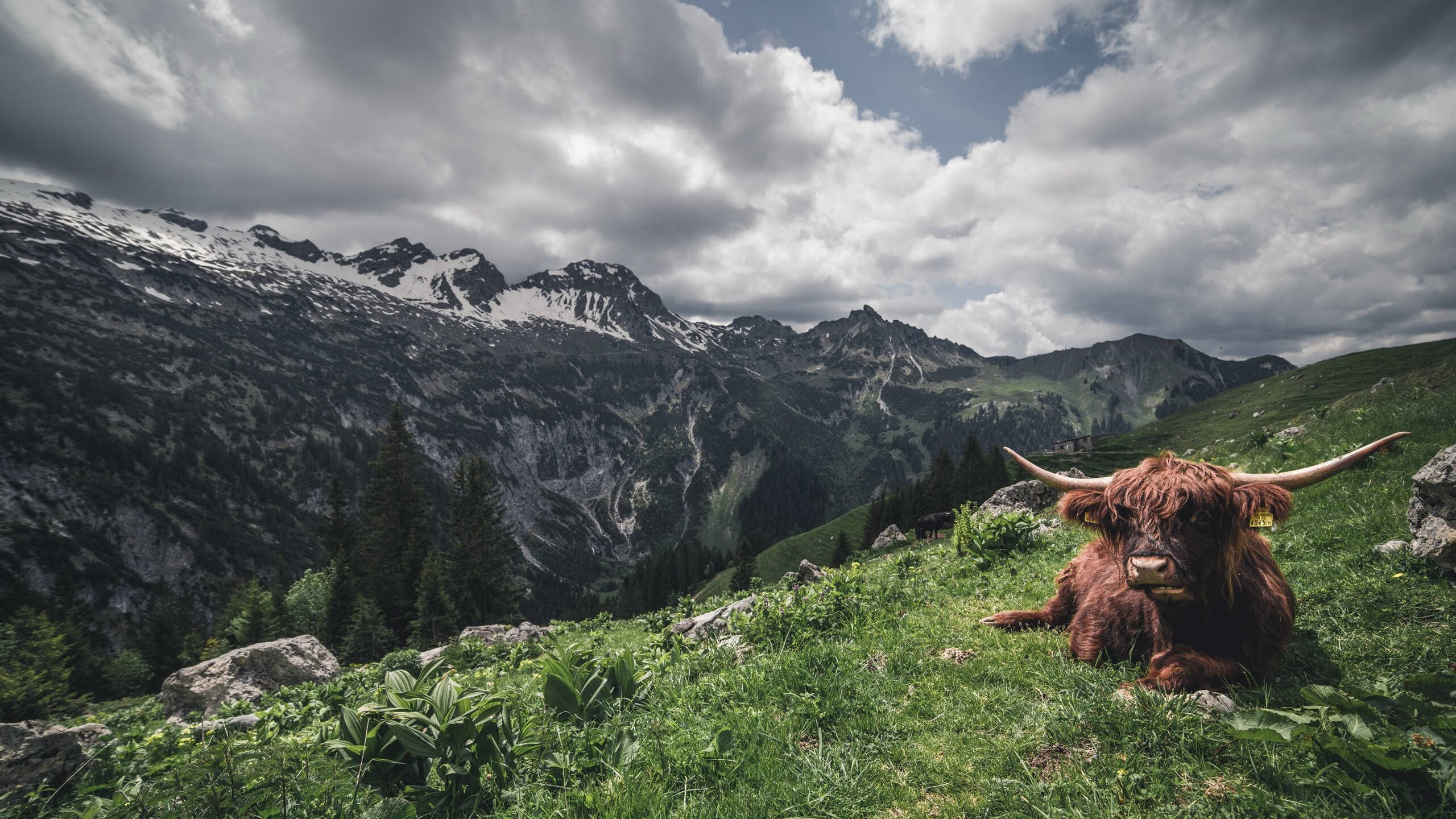 孤星对铁阵，东契奇冠军级表现难敌雷霆硬仗团队力