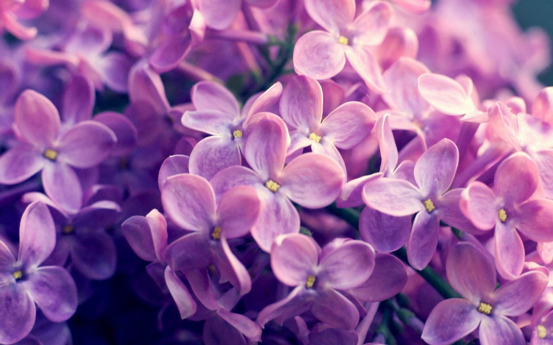 年度焦点战，埃及客场力克加纳，带走关键胜利