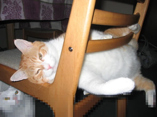 唯一性的璀璨双星，冰岛寒夜淘汰利物浦与阿尔瓦雷斯东决烈火接管