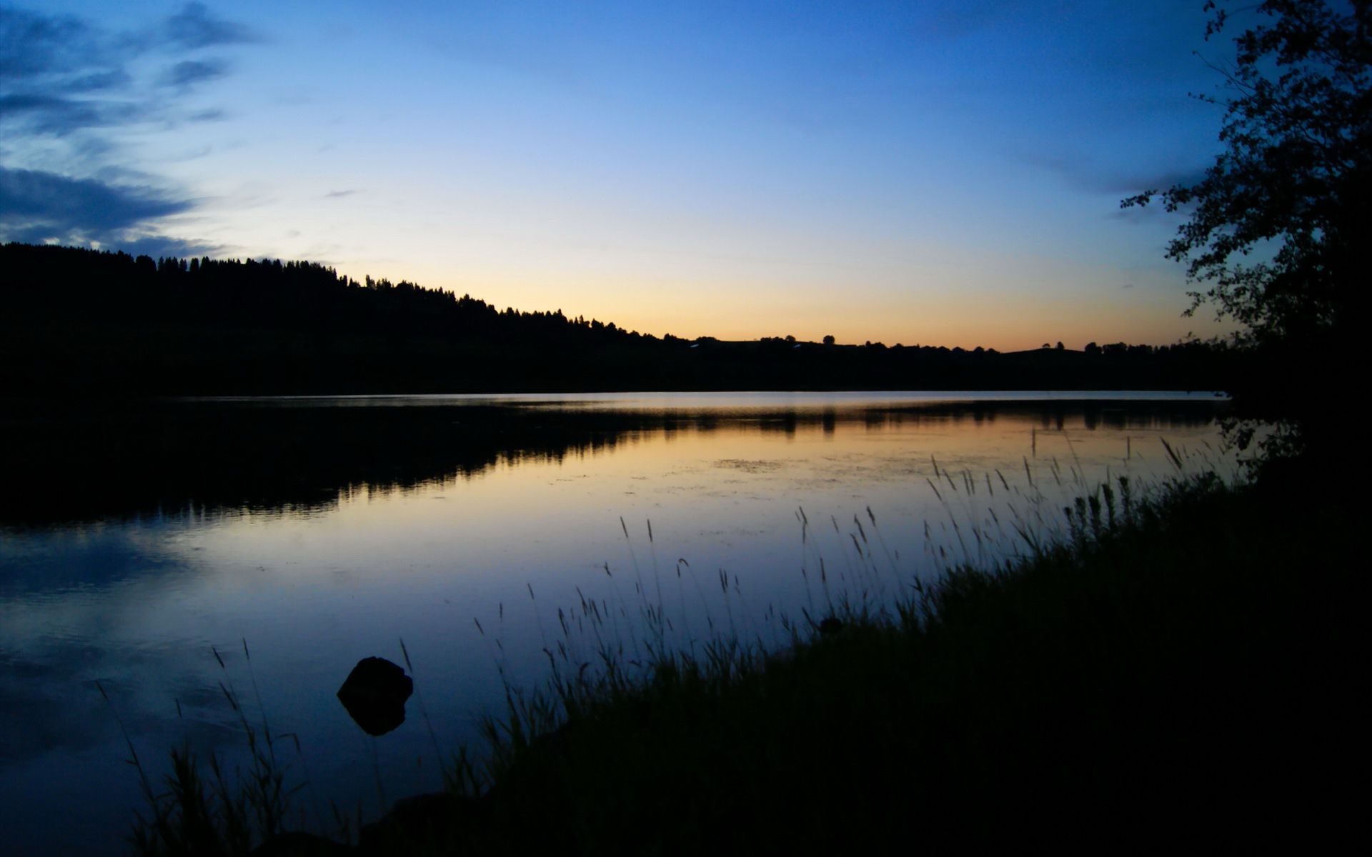 字母哥暴力美学碾压亚洲防線,達拉斯獨行俠的奇蹟終結震撼籃球界