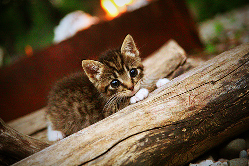 破茧成蝶，中国队3-2绝杀克罗地亚，基耶萨化身东方魔法师