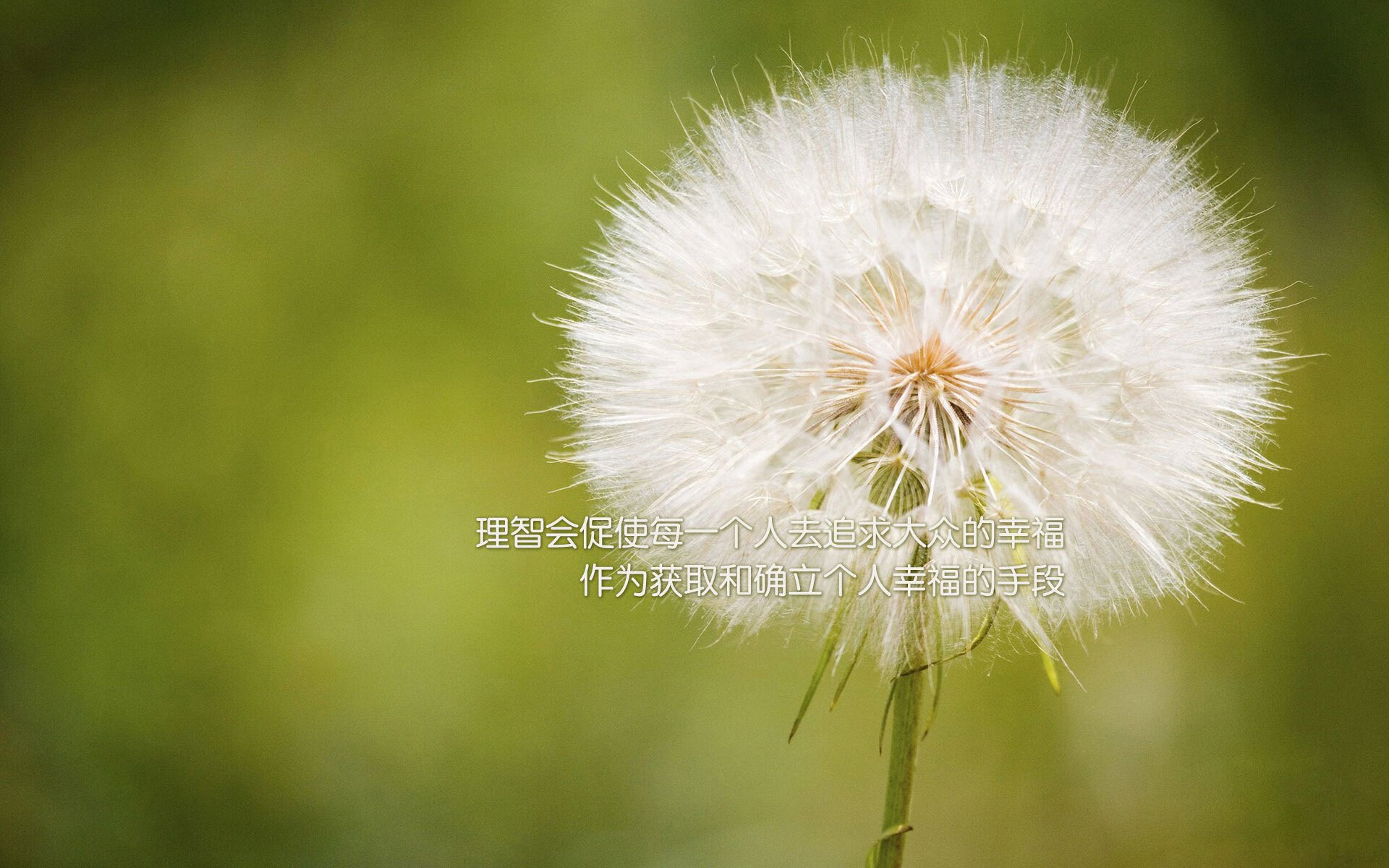 跨界风暴,克罗地亚足球压制比利亚雷亚尔,拉什福德F1争冠接管赛局
