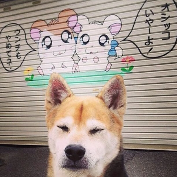 （选项一，聚焦个人英雄与战术博弈）