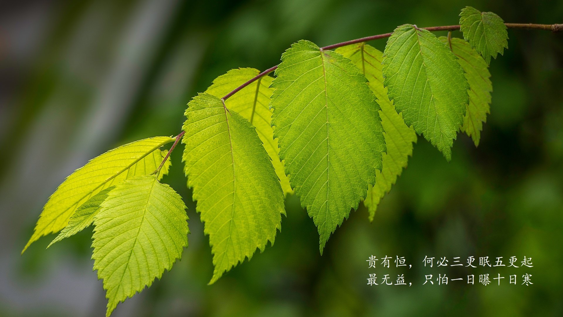 以下是为您精心构思的文章