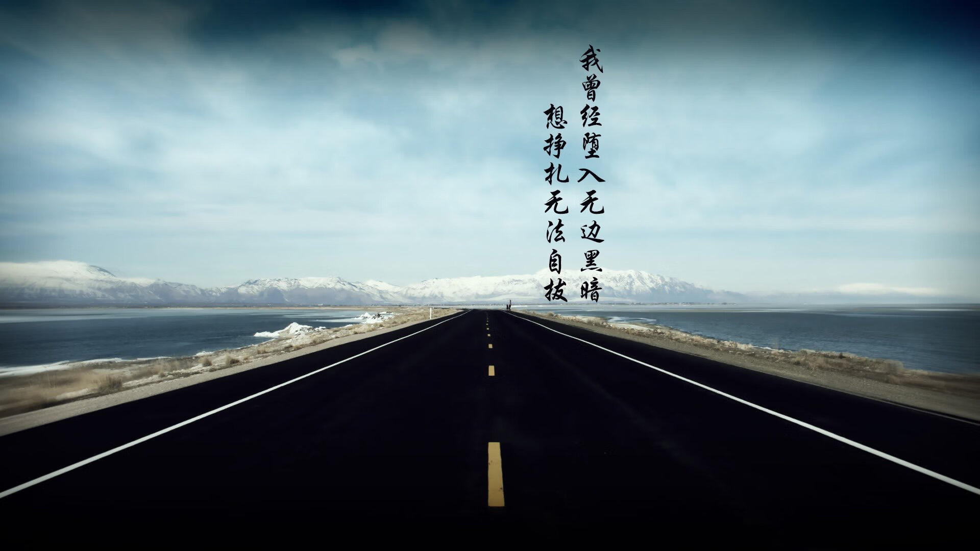 狮王范戴克，当郁金香的坚毅，在斗牛士的黄昏里种下暹罗之梦